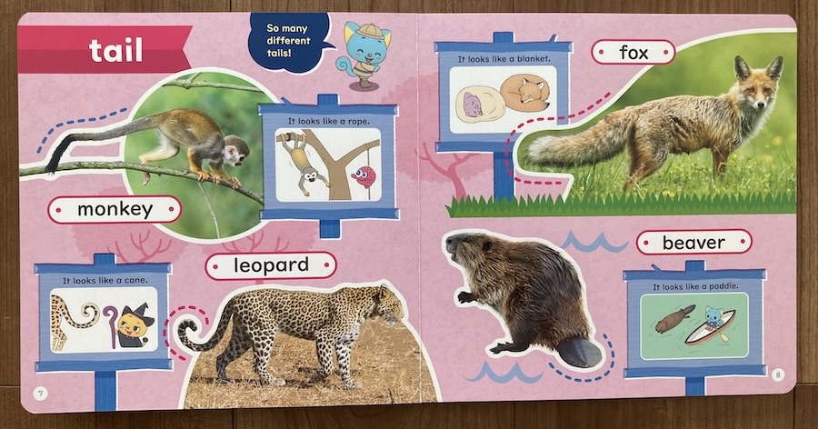 image-of-the-book-animals
