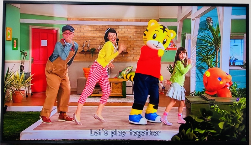 DVDサンプルの一例